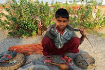 Snake charmer on the way to the Taj Mahal