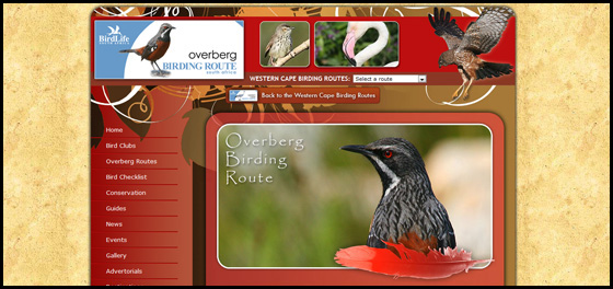 Overberg birding route theme, Western Cape Birding