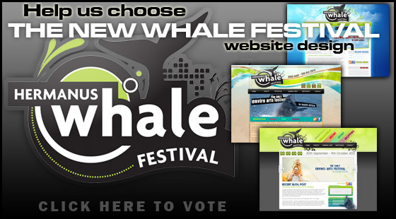 Vote for the new Whale Festival website design